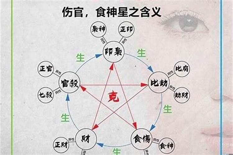 属虎的跟属牛的八字合不合婚