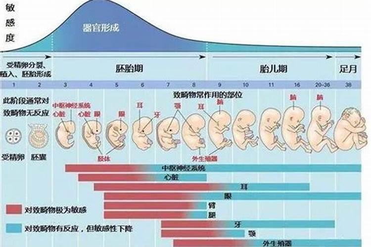 太顺做法事大全