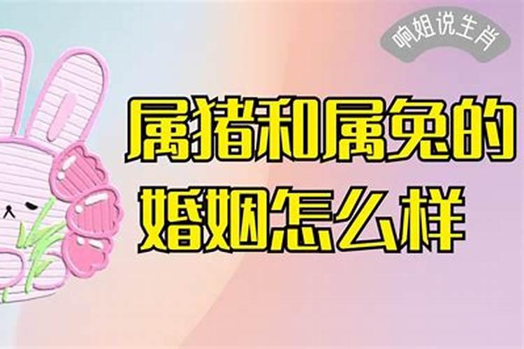 199属兔的婚姻怎么样