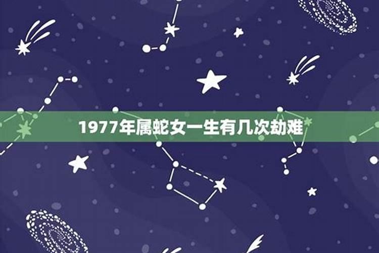 1977年属蛇今年有牢狱之灾吗