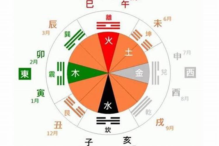 八字日柱看天干还是地支