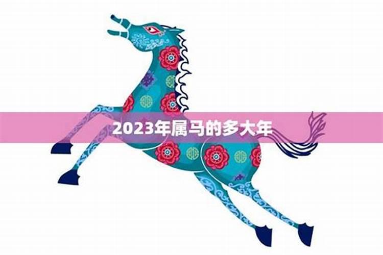 属马在2024年运势