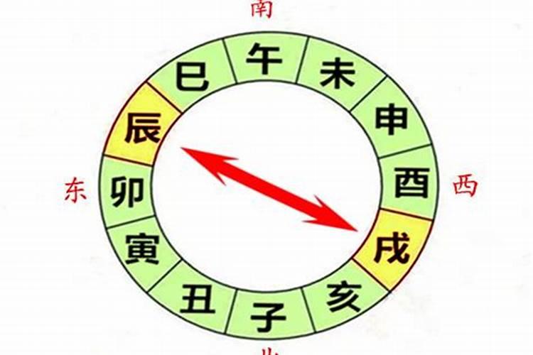 辰戊冲的八字