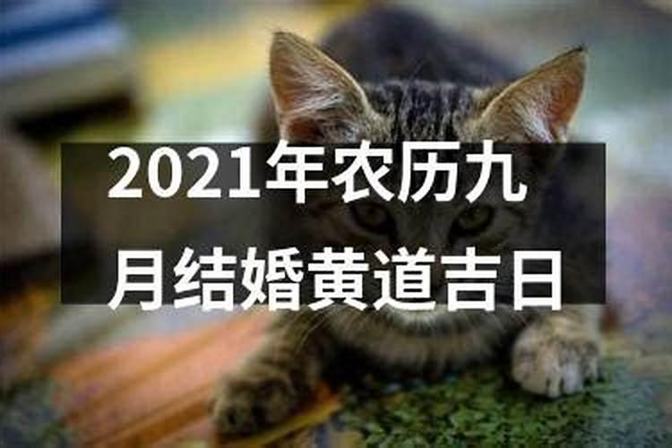 农历九月结婚的黄道吉日2021年8月