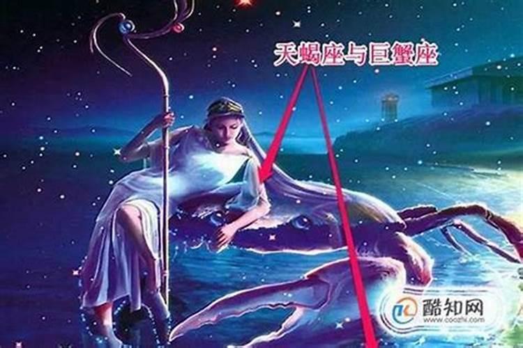 天蝎座最适合跟什么星座谈恋爱