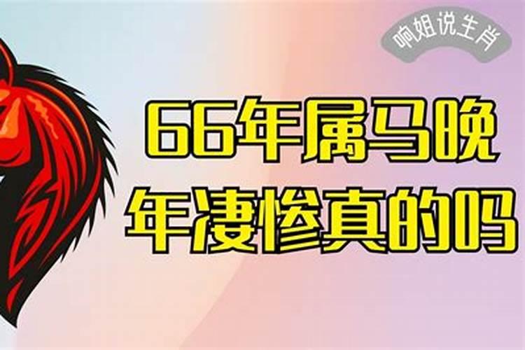 66年属马人犯太岁