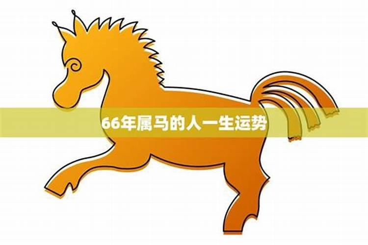 66年属马犯太岁如何破解