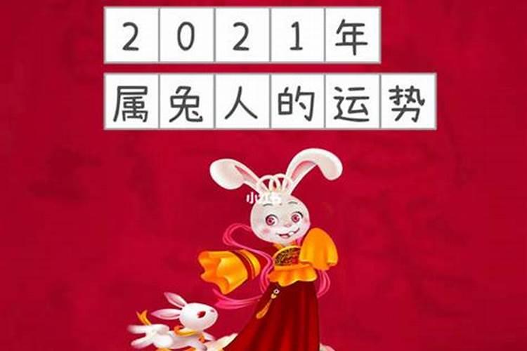 2022年属兔的小人属相如何