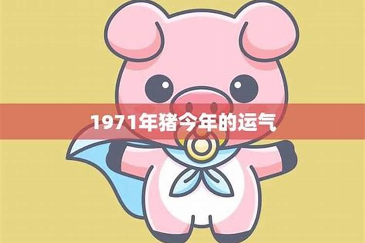 1971年的猪今年运势好不好呢