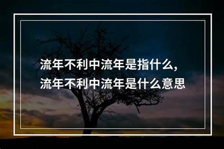 属蛇人的情劫是属什么人