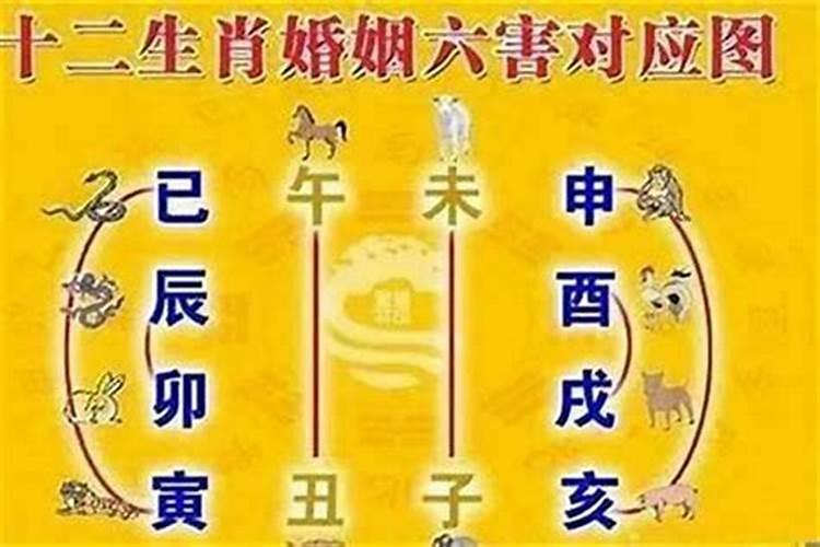 冬至祭奠弟弟怎么说