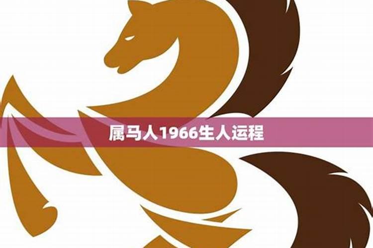 老鼠到2026年的运势如何看