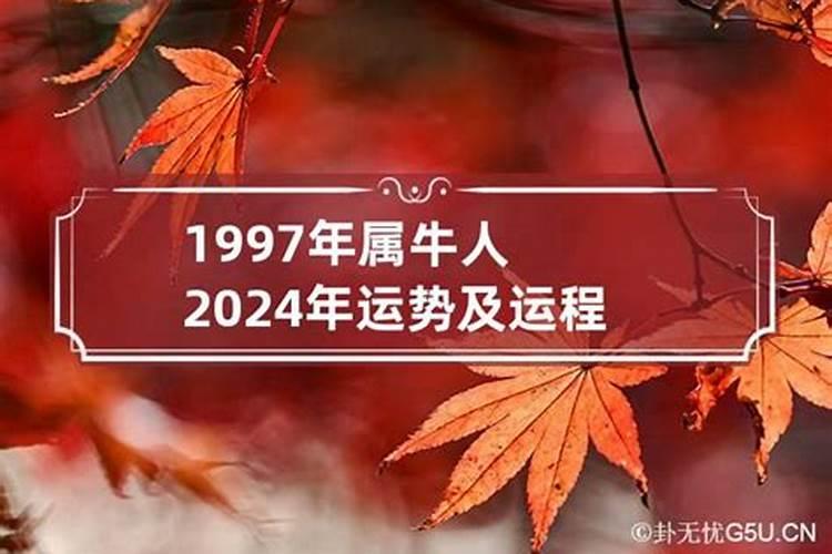 羊年生人2023年运势如何