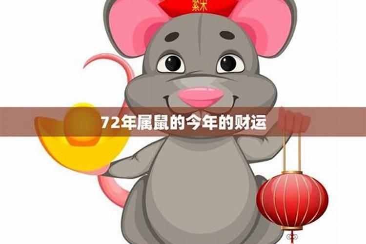 72年属鼠今年运势如何