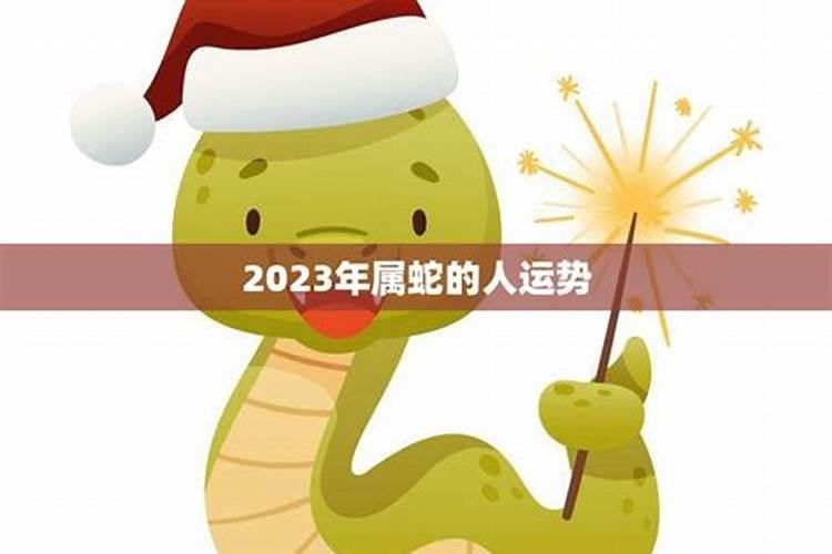 2023年蛇年生人运势如何