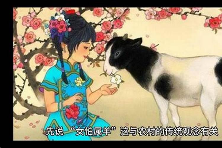 属鸡女为什么今年很不顺