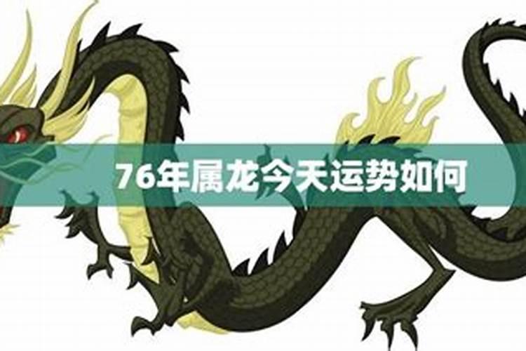 蛇猴2024年运势及运程