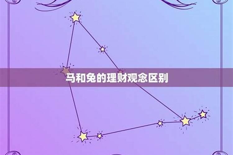 属马和兔相合不合