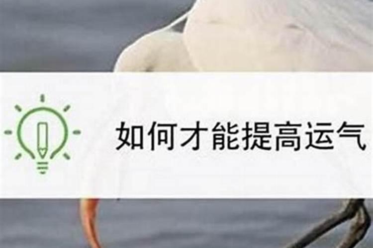 富贵当时财运来是什么意思