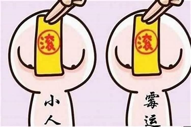 农历11月属兔人运势