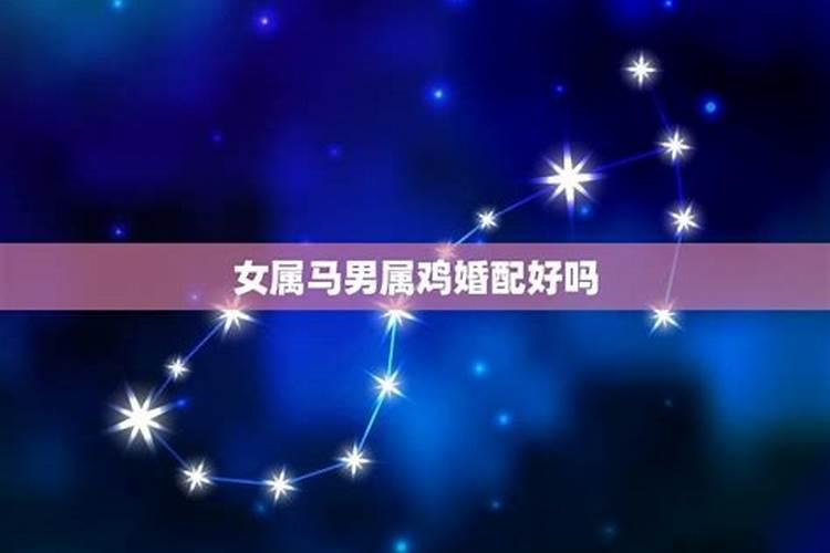 属蛇今年犯太岁吗2018年出生的人好不好呀