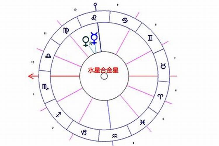 金星水星合相星座爱情