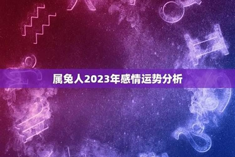 属兔2021感情运势婚姻