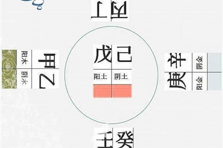 八字特点是什么意思