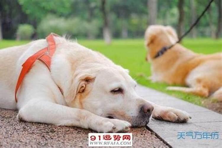 经常犯小人怎么求观音化解呢