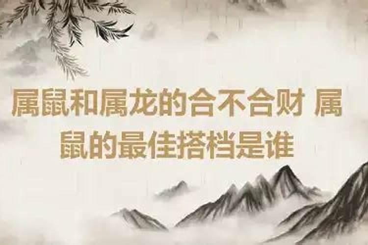 属鼠的与属龙的合不合