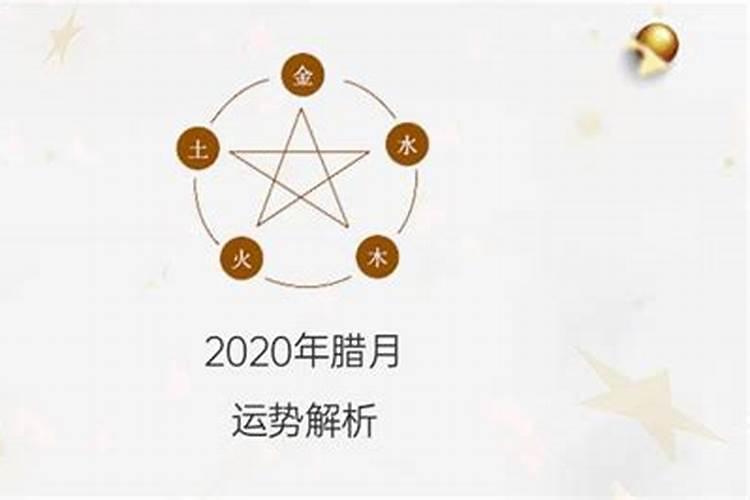 属狗2024年运势及属牛运程属猪