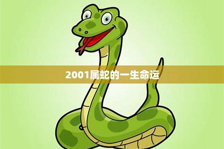 2001年属蛇人的灾难年龄是多少岁