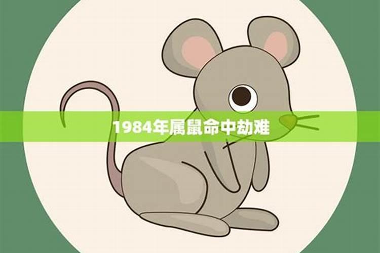 1984年属鼠人生三大坎