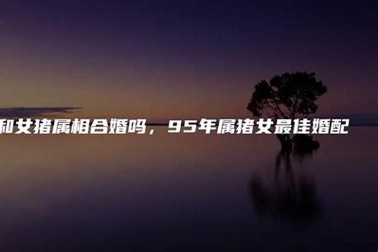 嫁给企业家你真的会幸福吗知乎