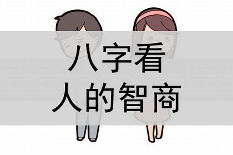 八字从哪里可以看出来智商高