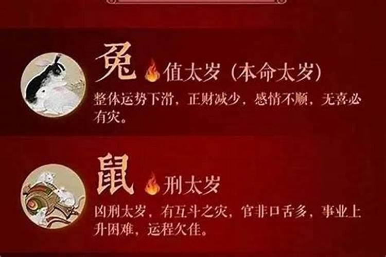 女人梦见黄牛预示着什么