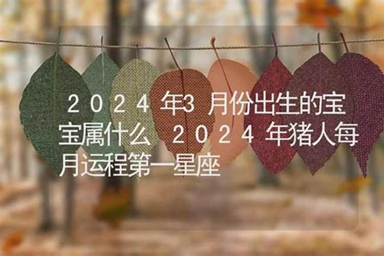 冲太岁是什么意思2024年