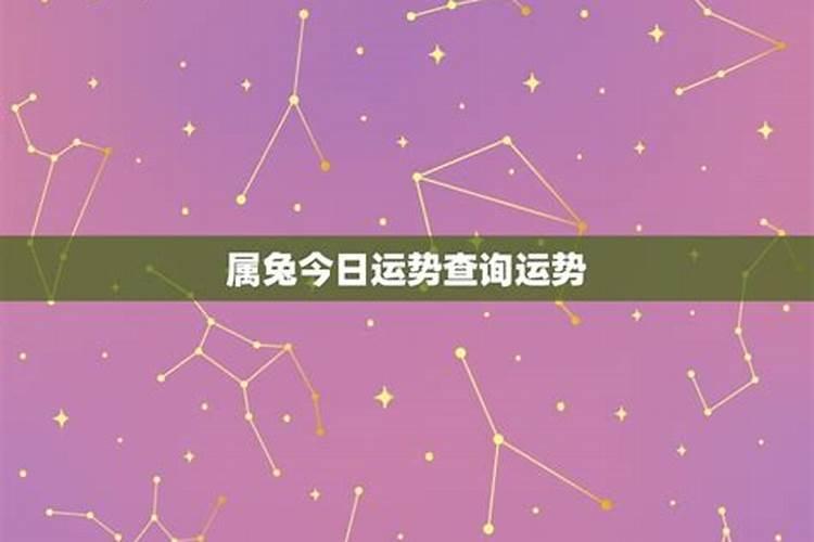 属兔今日运势星座屋