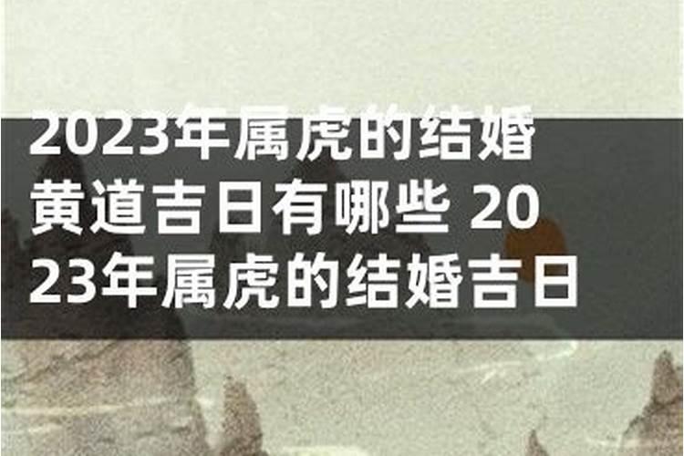 属虎人今年结婚吉日