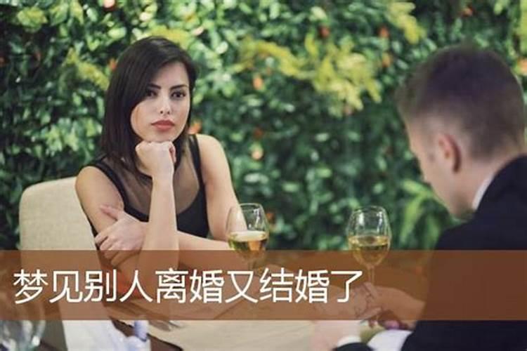 属兔和属龙的婚姻如何化解