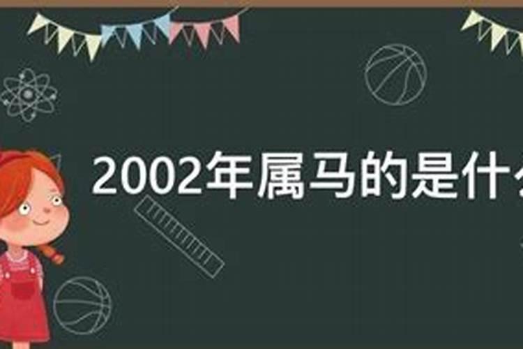 2002年属马的一生有几个坎