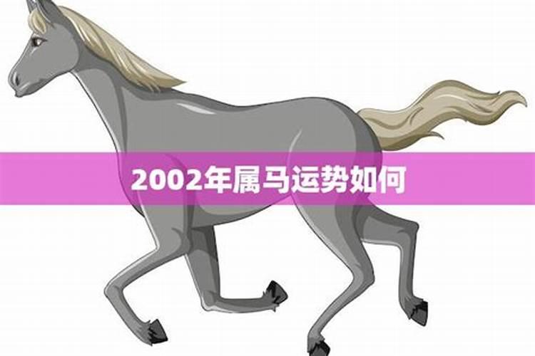 2002年属马的一生2022运势和幸运色