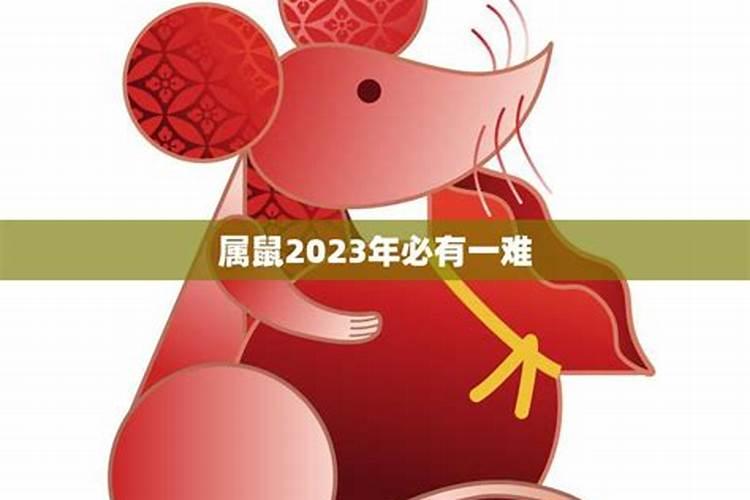 2023鼠年的人今年运气如何