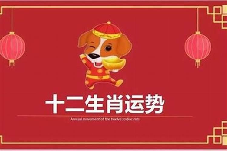 属狗在什么年结婚好