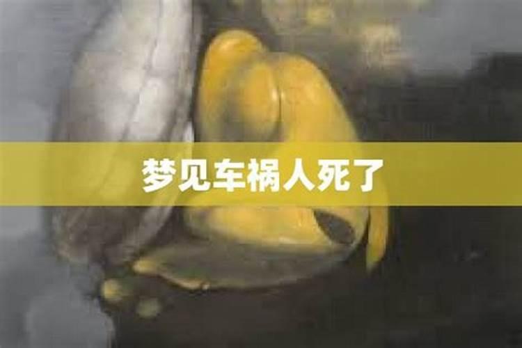 九紫离火运对什么人