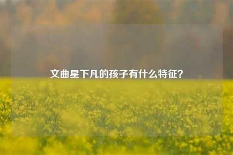 冬至节气是哪年开始的