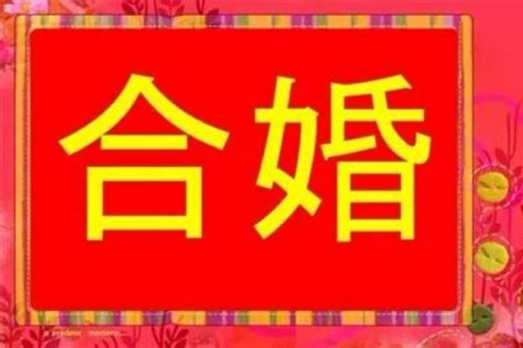 属兔的今年戴什么吉祥物