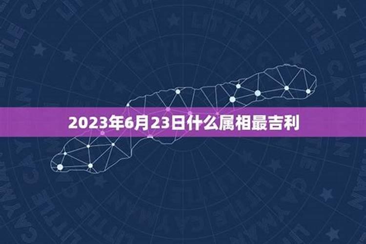 2023年最倒霉的属相