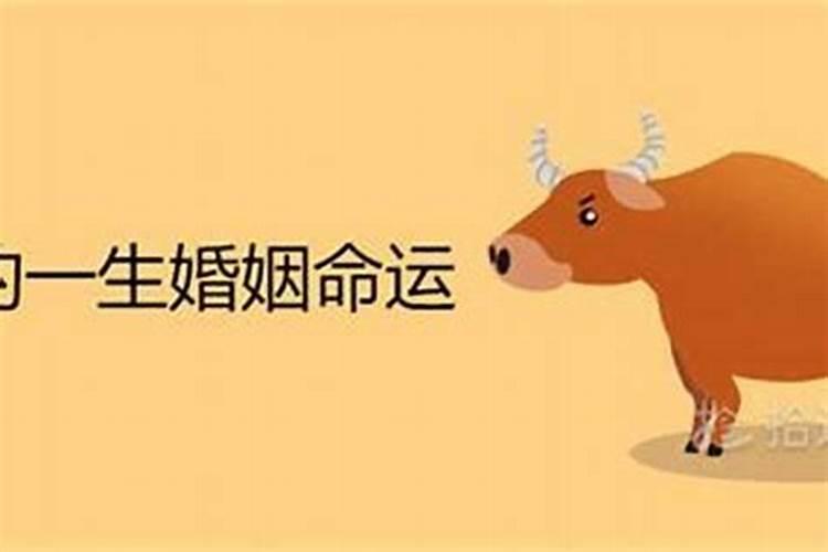 三观不合八字不合