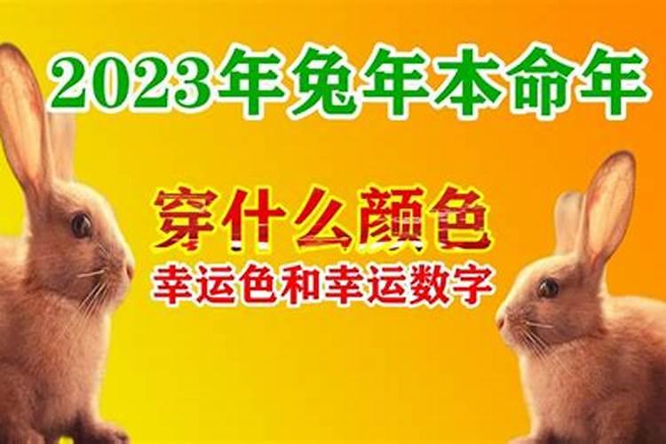 蛇2020年犯太岁吗生肖虎好不好运